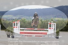 ref. photo 3139941
