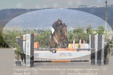 ref. photo 3139946