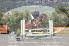 ref. photo 3139953