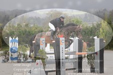 ref. photo 3139954