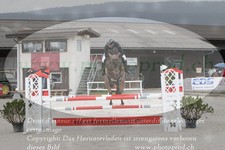 ref. photo 3139955