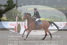 ref. photo 3139976
