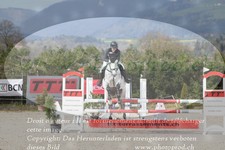 ref. photo 3139987