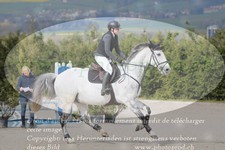 ref. photo 3139988