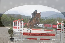 ref. photo 3139999