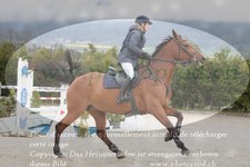 ref. photo 3140006