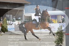 ref. photo 3140016
