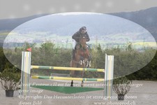 ref. photo 3140036
