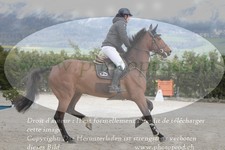 ref. photo 3140037
