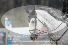 ref. photo 3140052