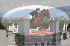 ref. photo 3140055