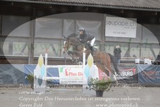 ref. photo 3140072