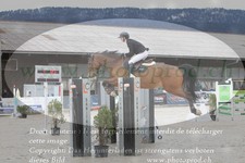ref. photo 3140079