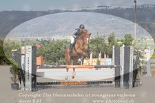 ref. photo 3140083