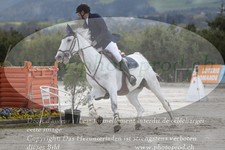 ref. photo 3140116