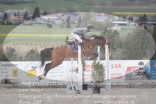 ref. photo 3140138