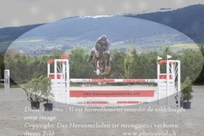 ref. photo 3140139