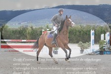 ref. photo 3140140