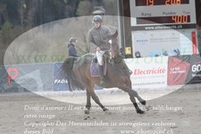 ref. photo 3140151