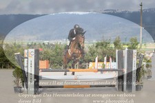 ref. photo 3140153