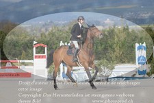 ref. photo 3140155