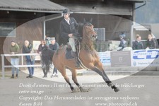 ref. photo 3140157