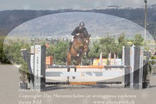 ref. photo 3140158