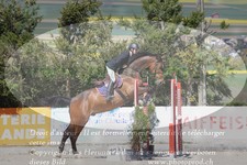 ref. photo 3140162