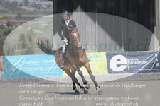 ref. photo 3140163
