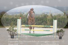 ref. photo 3140183