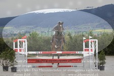 ref. photo 3140189