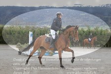 ref. photo 3140195