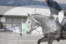 ref. photo 3140211