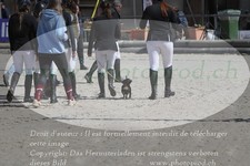 ref. photo 3140227