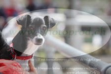 ref. photo 3140232