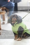 ref. photo 3140252
