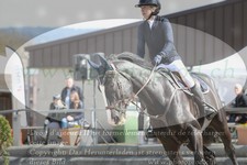 ref. photo 3140261