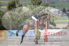 ref. photo 3140271