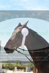 ref. photo 3140274