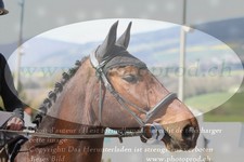 ref. photo 3140296