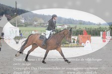 ref. photo 3140331