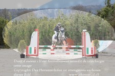 ref. photo 3140354