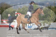 ref. photo 3140363