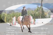ref. photo 3140377