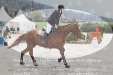 ref. photo 3140382