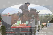 ref. photo 3140396