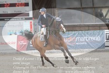 ref. photo 3140410