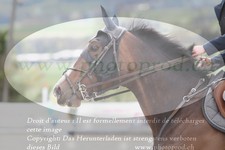 ref. photo 3140411