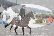 ref. photo 3140448