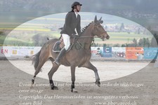ref. photo 3140451